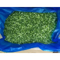 IQF Frozen Chinese Chive